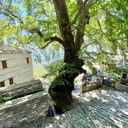 Archontika Karamarlis 3*